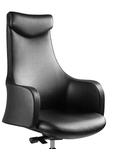 Изображение дизайна кресла для кабинета Blossom
